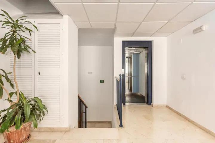 Lunaroom Center & Quiet Guesthouse 马拉加 外观 照片